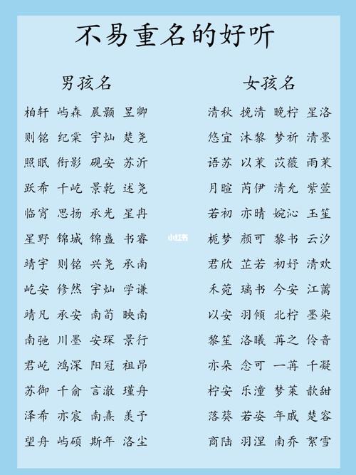 双胞胎男孩取名