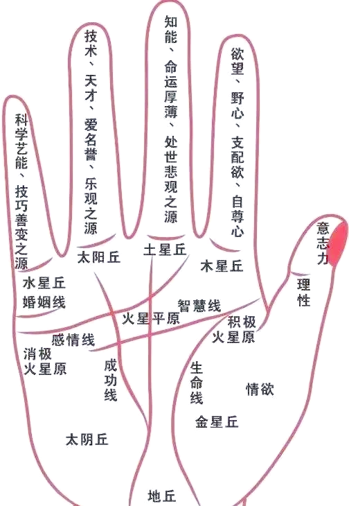 科普展现:偏财运测算（今日财运测算免费）