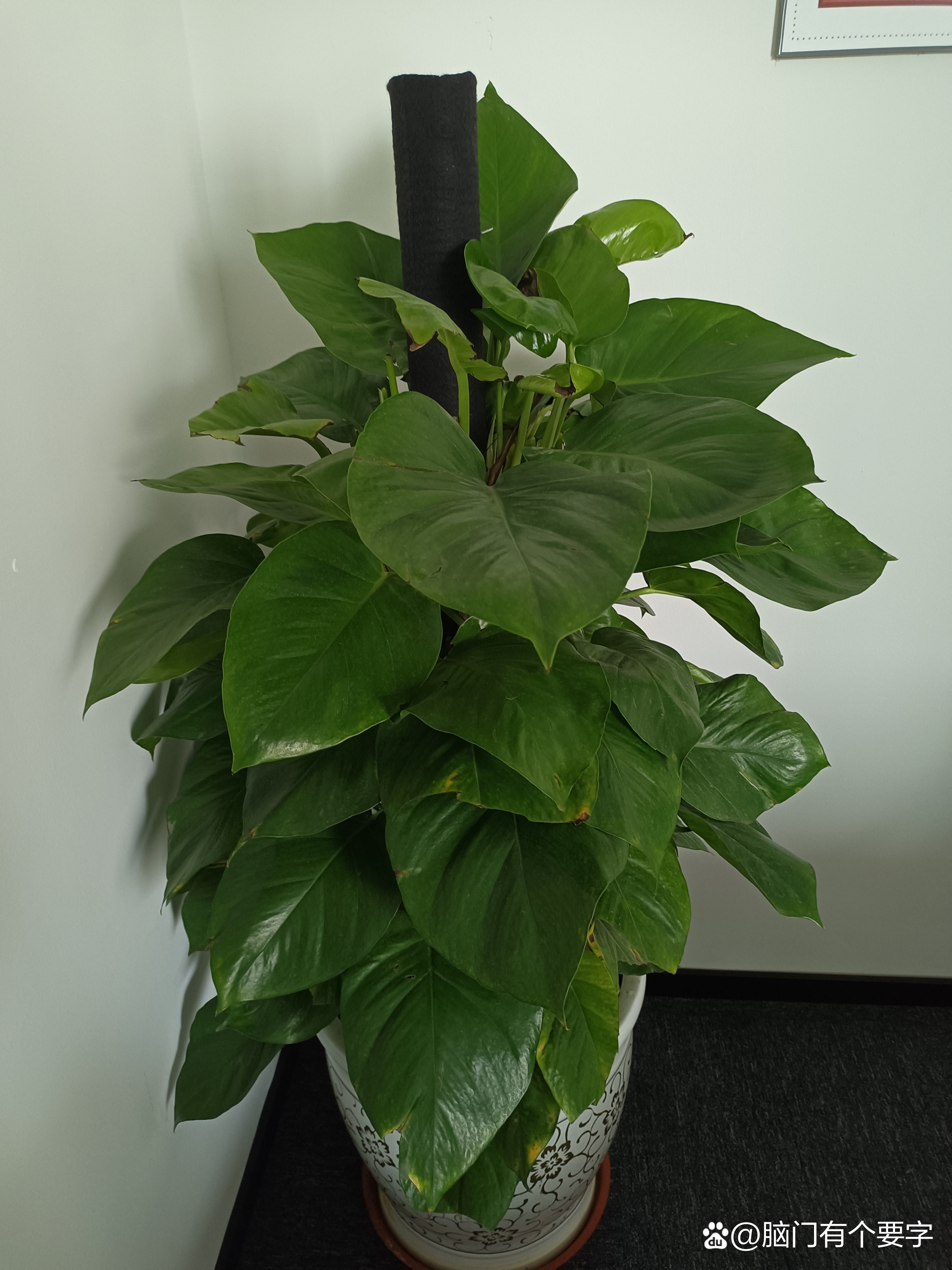 风水 第4页