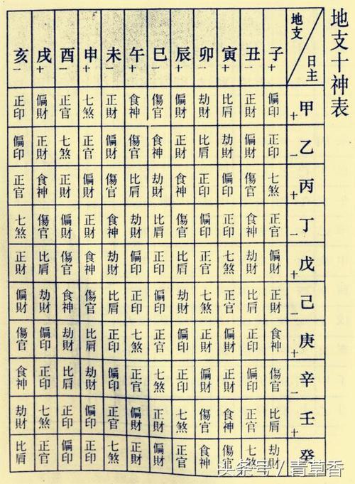 免费算命网