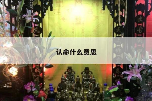 认命什么意思