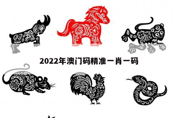 2022年澳门码精准一肖一码
