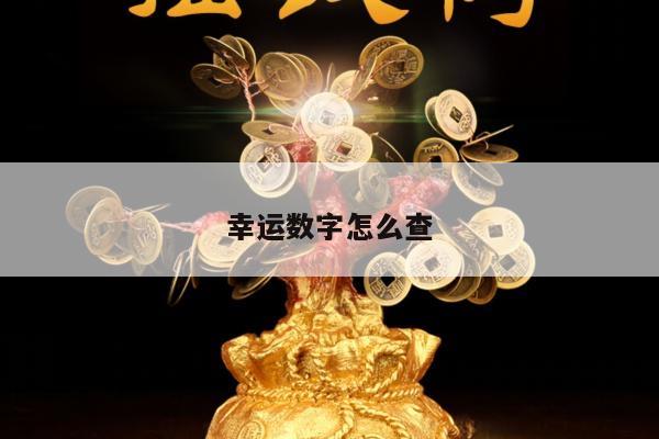 幸运数字怎么查