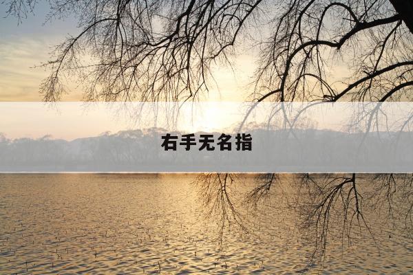 右手无名指