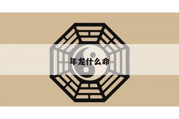 年龙什么命