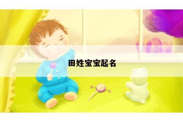 田姓宝宝起名