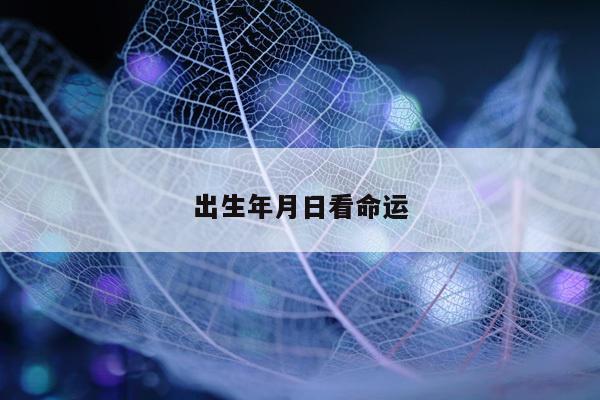 出生年月日看命运