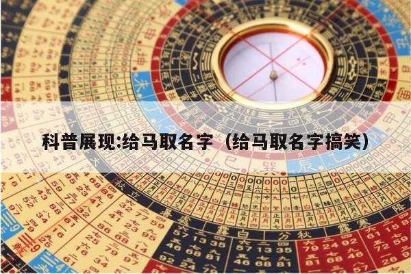 科普展现:给马取名字（给马取名字搞笑）