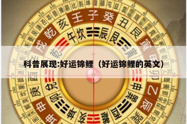 科普展现:好运锦鲤（好运锦鲤的英文）