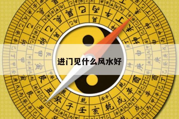 进门见什么风水好