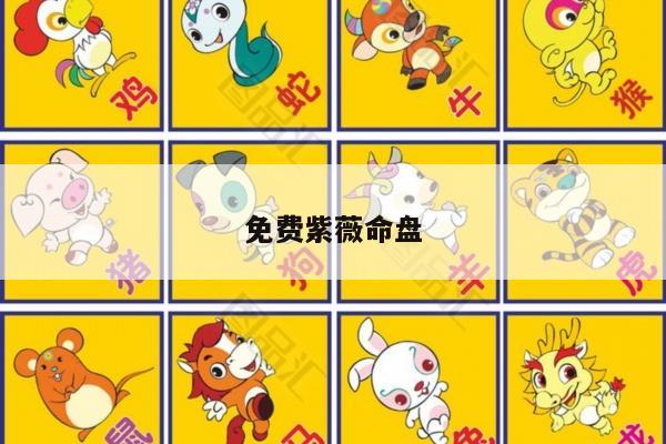 免费紫薇命盘
