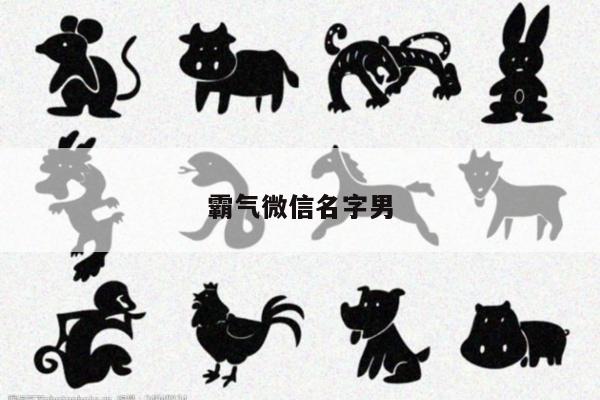 霸气微信名字男