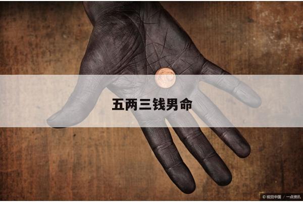 五两三钱男命