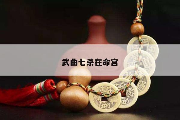 武曲七杀在命宫