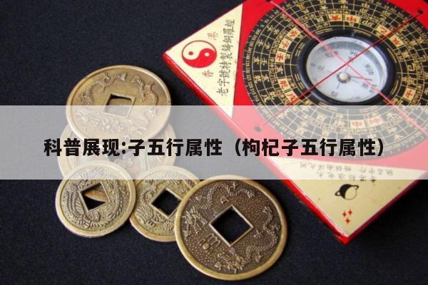 科普展现:子五行属性（枸杞子五行属性）