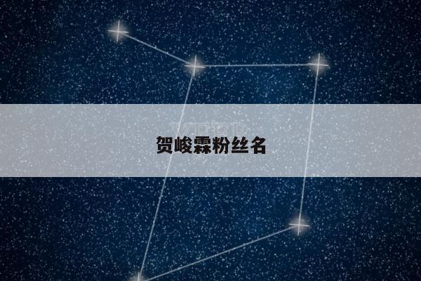 贺峻霖粉丝名