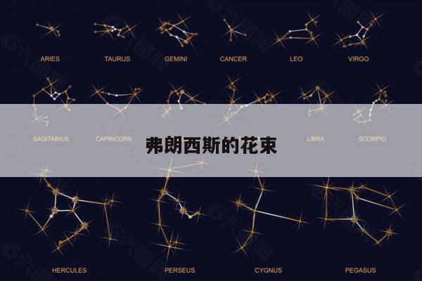 弗朗西斯的花束