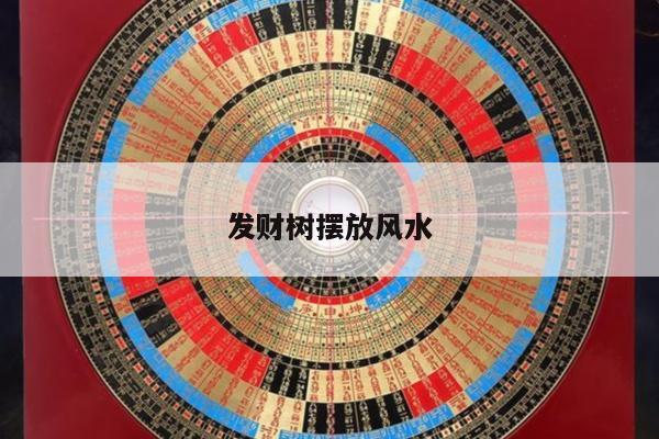 发财树摆放风水