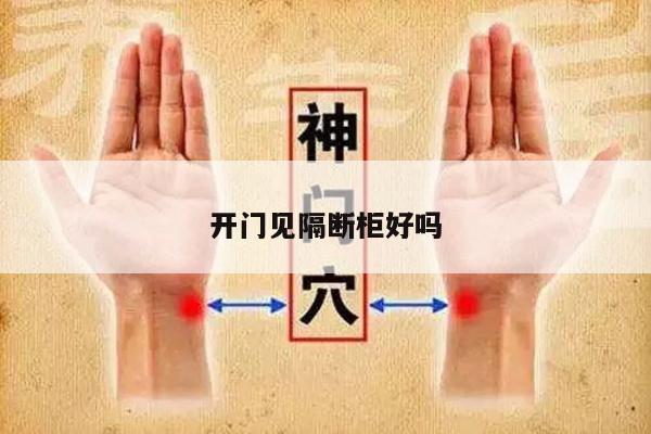 开门见隔断柜好吗