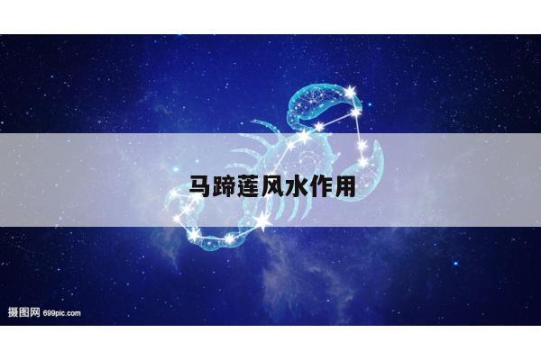马蹄莲风水作用