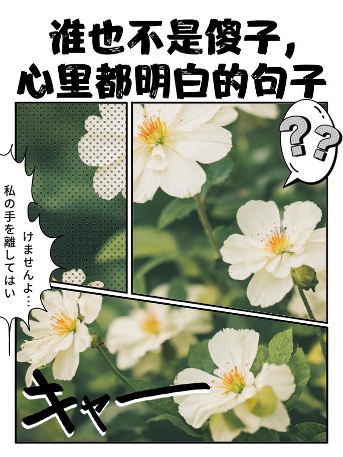 谁也不是傻子,谁也不是傻子看透不说透文案