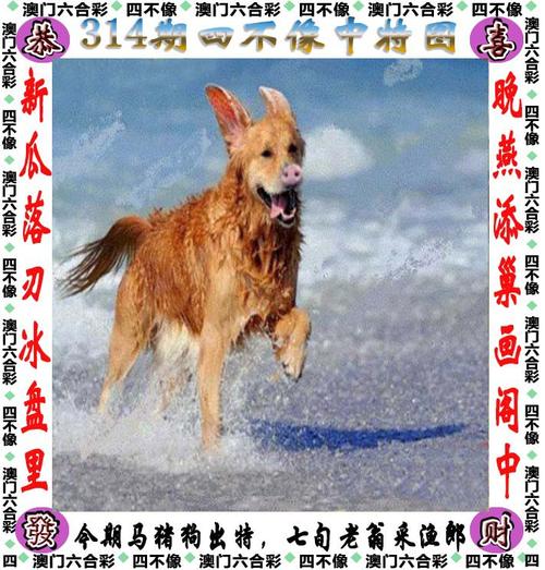 今晚四不像生肖图今期更新时间,今晚四不像生肖图玄机