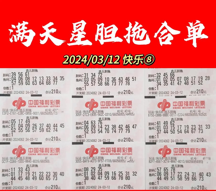 十二码中特提前免费大公开,十二码中特资料