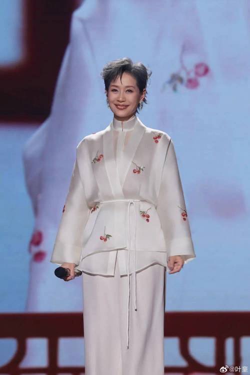 电视剧音乐会全集观看,电视剧音乐会全集免费观看