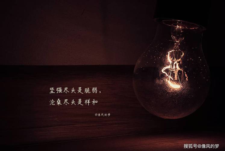 孤独的死亡之所,孤独的死亡之所 在线播放