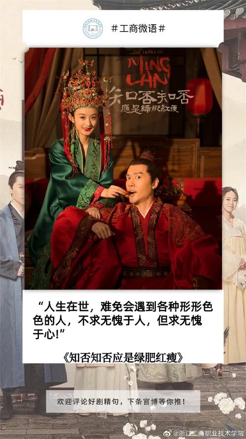 知否知否应是绿肥红瘦电视剧星辰影院,知否知否应是绿肥红瘦电视剧策驰影院